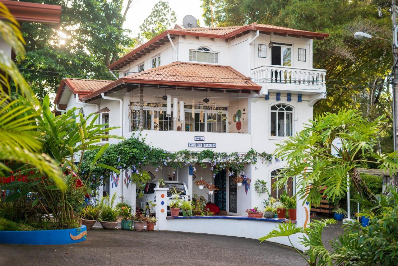 Hotel Ave Del Paraiso San José Exteriör bild